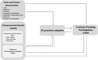 Farmers in the transition toward sustainability: what is the role of their entrepreneurial identity?